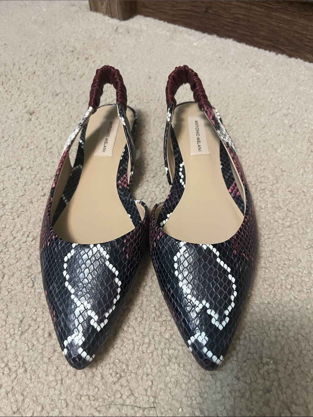 ANTONIO MELANI Radyn Pointed Ballet Slingback Flat in Berry Multi